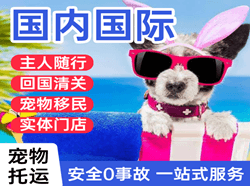 虹桥航空邮寄国际宠物托运 【国